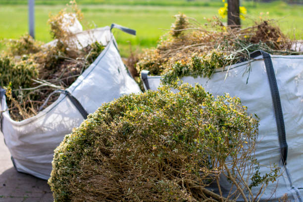 Best Same-Day Junk Removal Services  in Crosby, MN