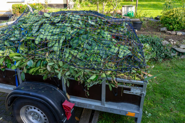 Best Yard Waste Removal  in Crosby, MN